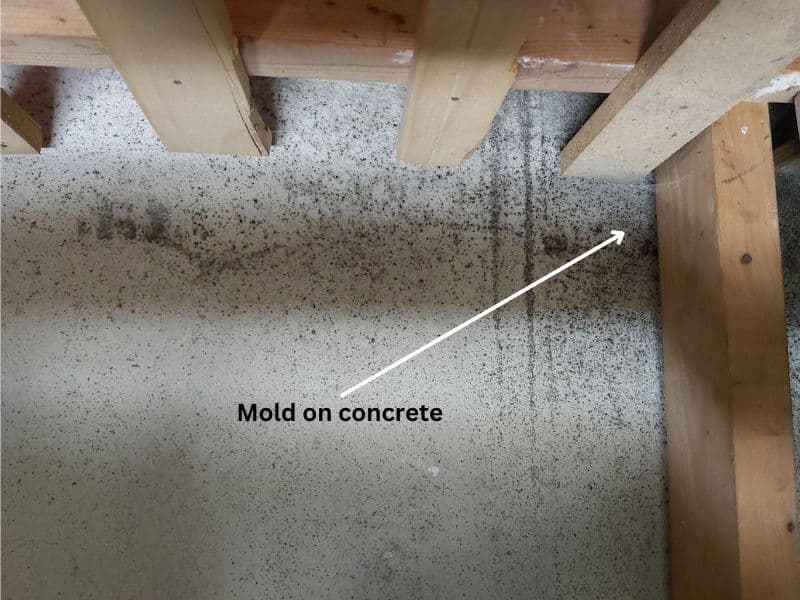 Mold on Concrete